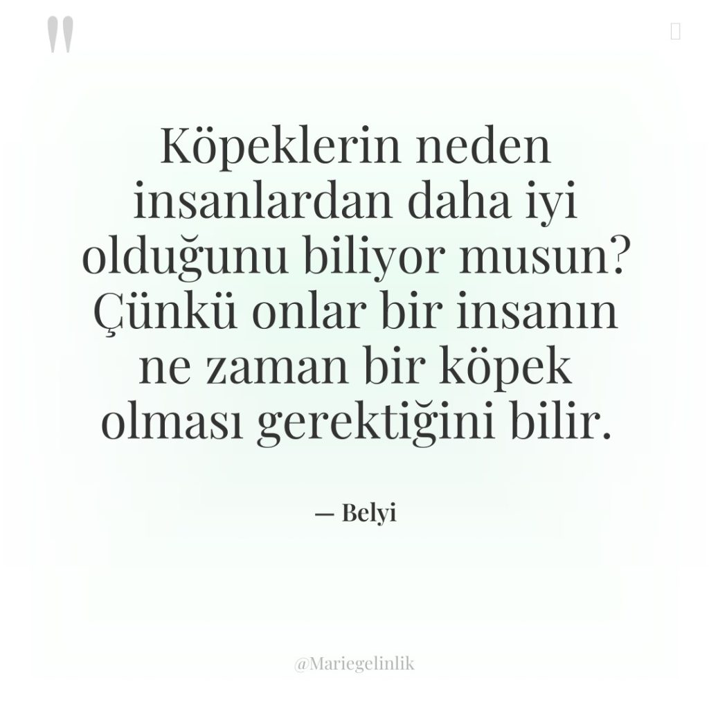Köpeklerin neden insanlardan daha iyi olduğunu biliyor musun? Çünkü onlar…
