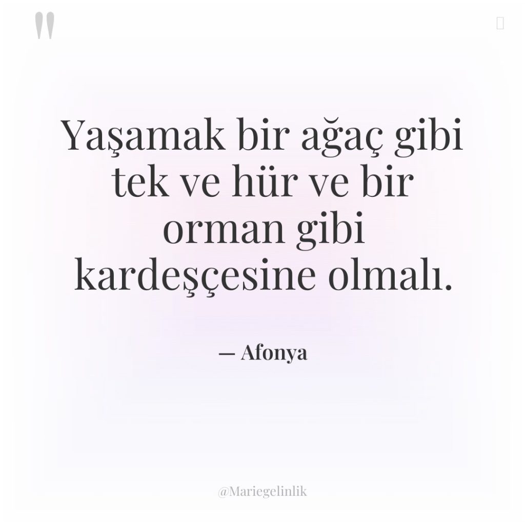 Yaşamak bir ağaç gibi tek ve hür ve bir orman…