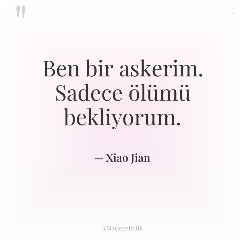 Ben bir askerim. Sadece ölümü bekliyorum.