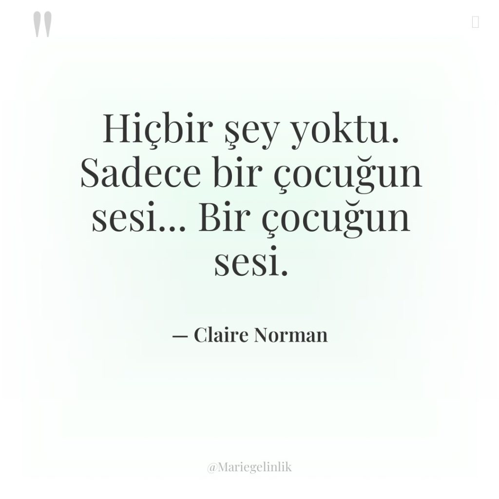Hiçbir şey yoktu. Sadece bir çocuğun sesi… Bir çocuğun sesi.