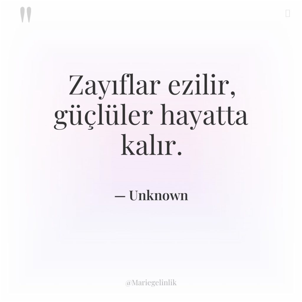 Zayıflar ezilir, güçlüler hayatta kalır.