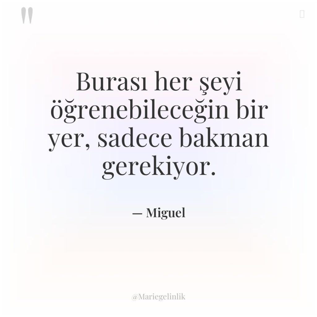 Burası her şeyi öğrenebileceğin bir yer, sadece bakman gerekiyor.