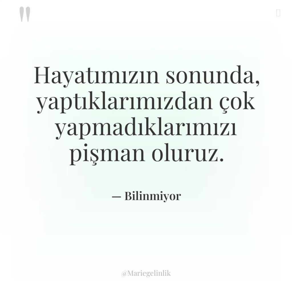 Hayatımızın sonunda, yaptıklarımızdan çok yapmadıklarımızı pişman oluruz.