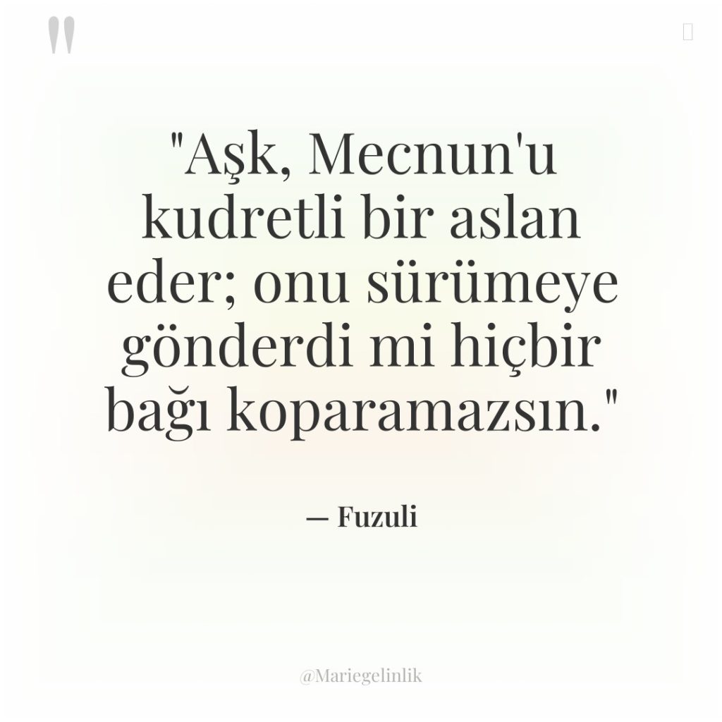 “Aşk, Mecnun’u kudretli bir aslan eder; onu sürümeye gönderdi mi…