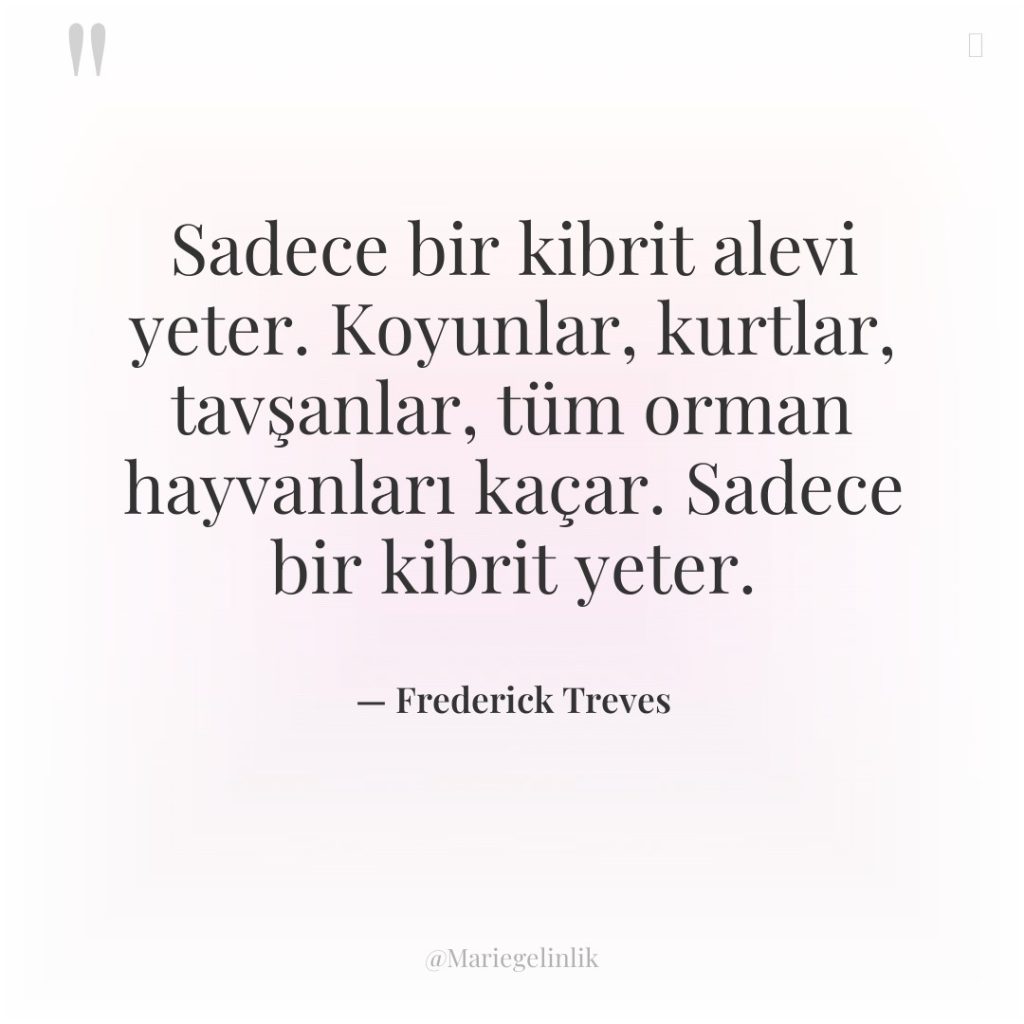 Sadece bir kibrit alevi yeter. Koyunlar, kurtlar, tavşanlar, tüm orman…