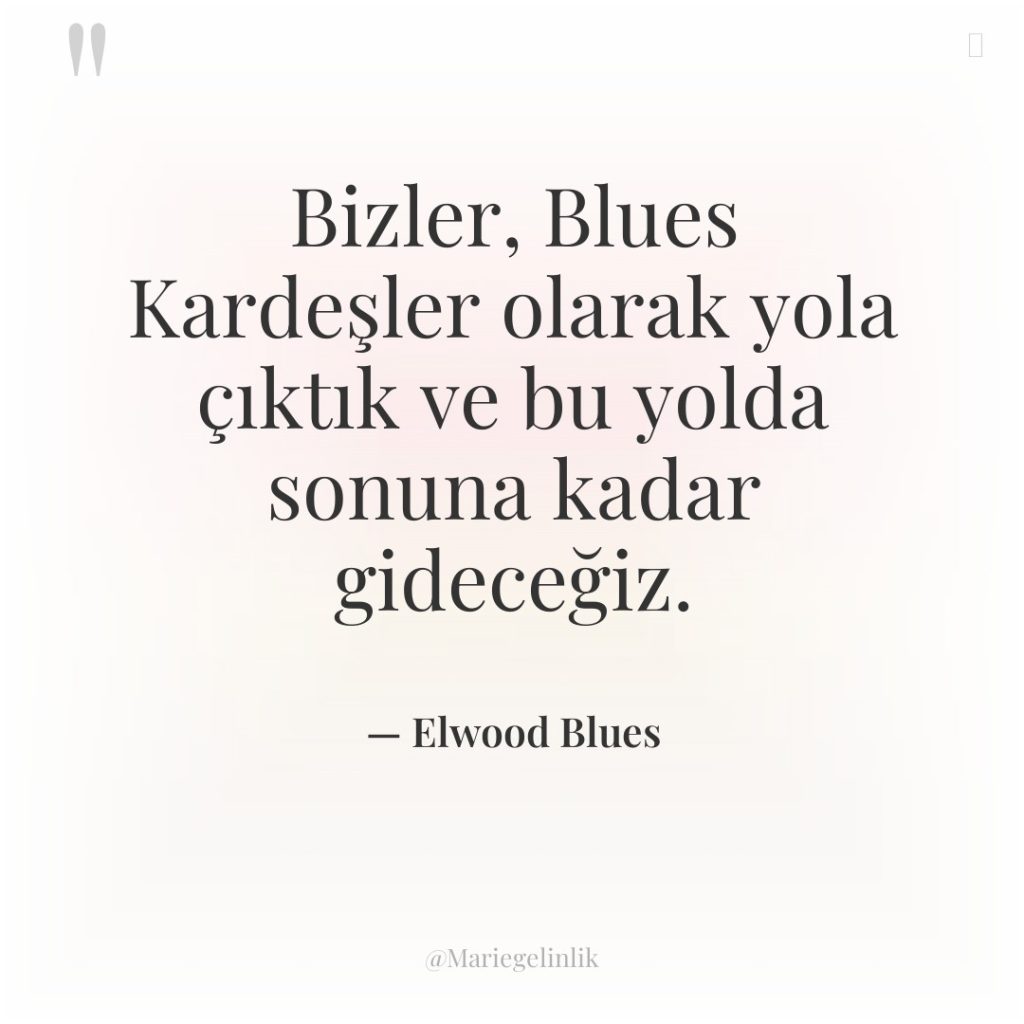 Bizler, Blues Kardeşler olarak yola çıktık ve bu yolda sonuna…