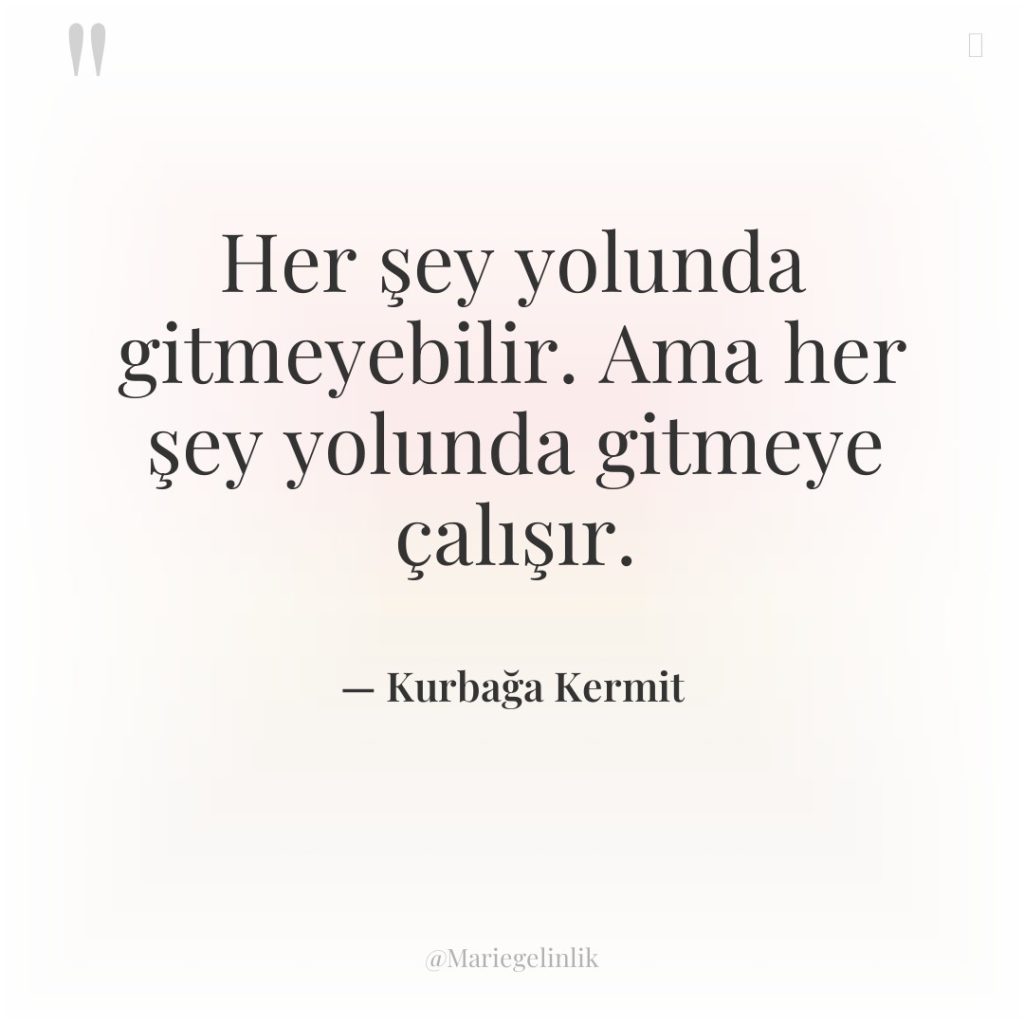 Her şey yolunda gitmeyebilir. Ama her şey yolunda gitmeye çalışır.