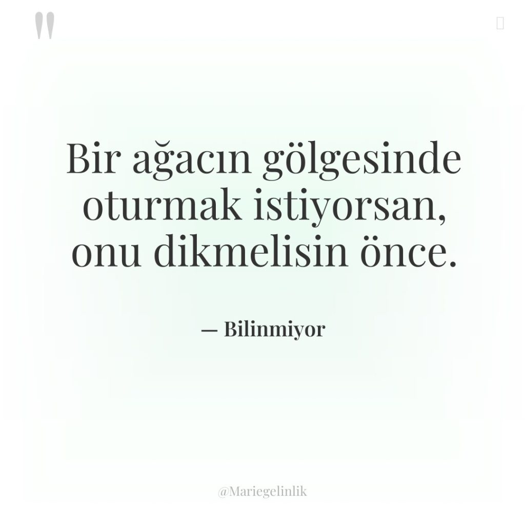 Bir ağacın gölgesinde oturmak istiyorsan, onu dikmelisin önce.