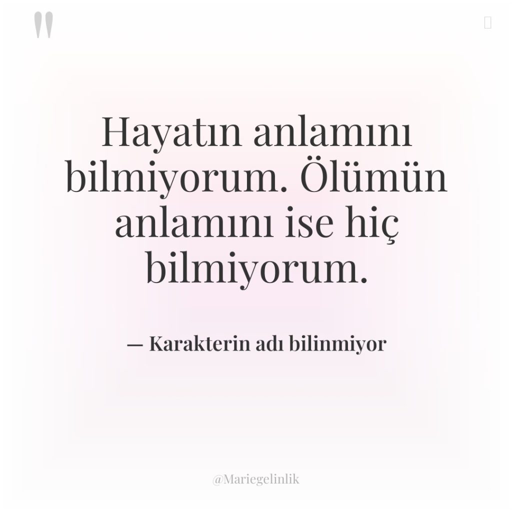 Hayatın anlamını bilmiyorum. Ölümün anlamını ise hiç bilmiyorum.