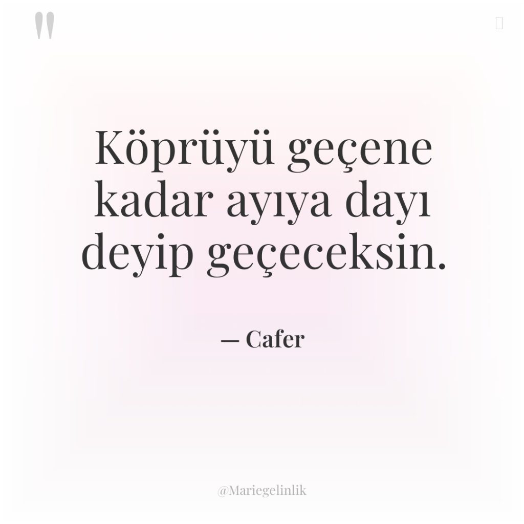 Köprüyü geçene kadar ayıya dayı deyip geçeceksin.