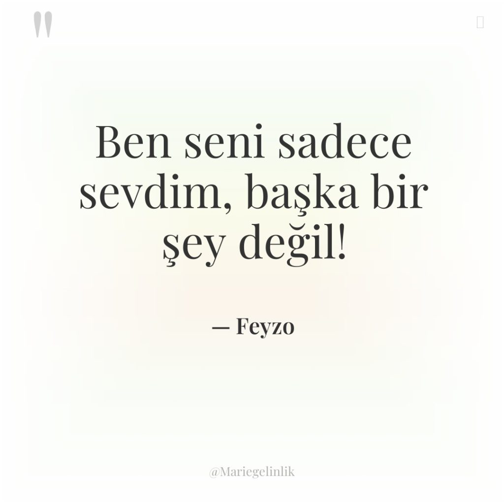 Ben seni sadece sevdim, başka bir şey değil!