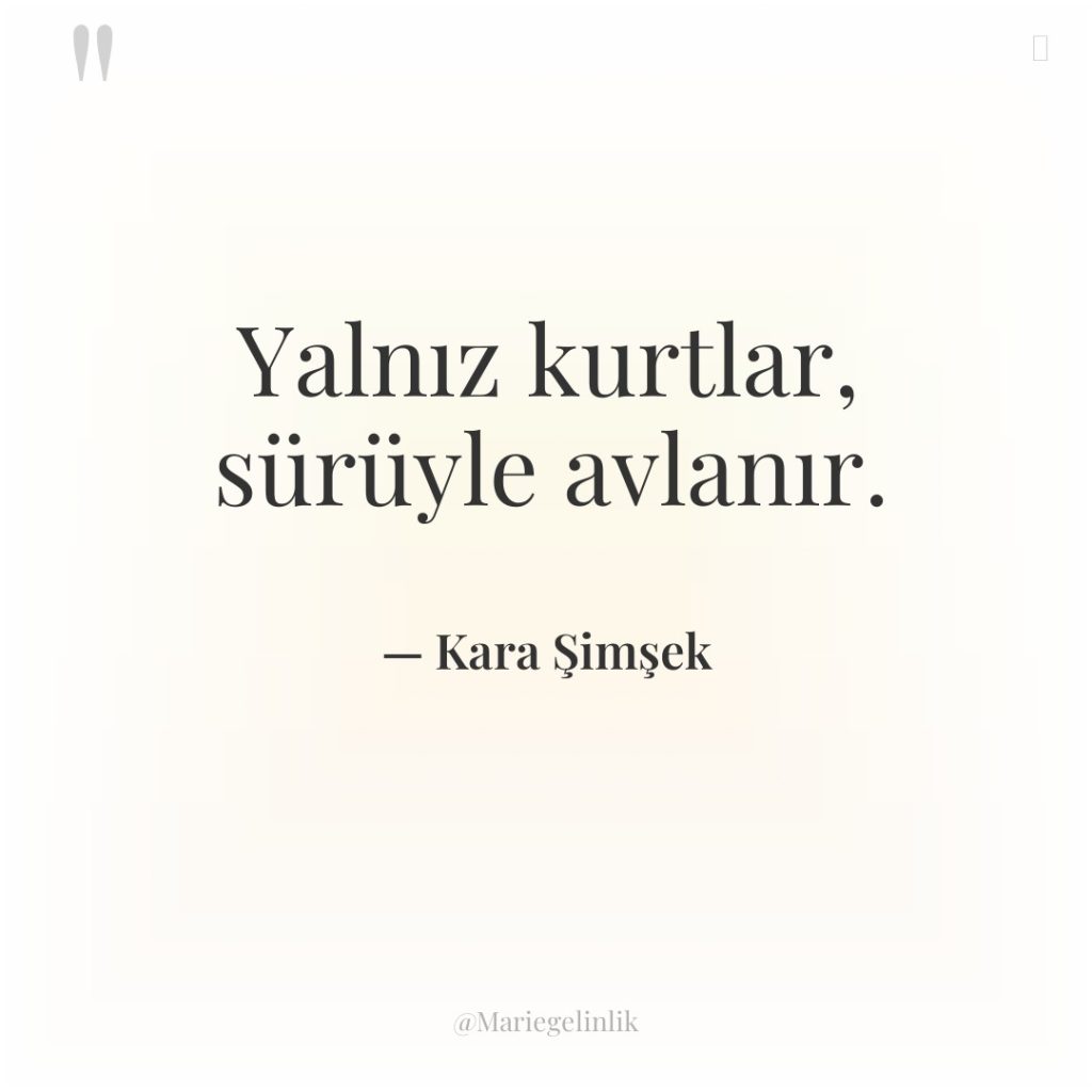 Yalnız kurtlar, sürüyle avlanır.