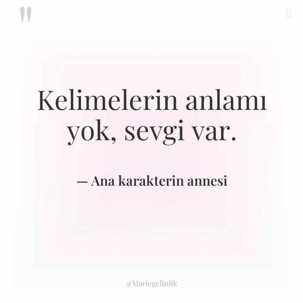 Kelimelerin anlamı yok, sevgi var.