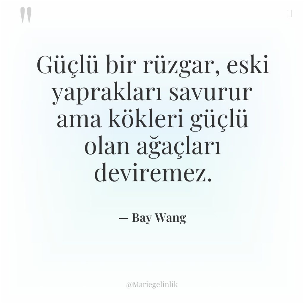 Güçlü bir rüzgar, eski yaprakları savurur ama kökleri güçlü olan…