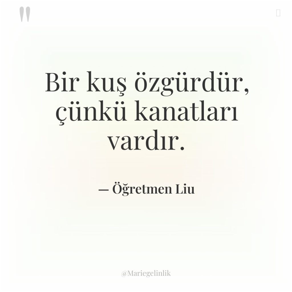 Bir kuş özgürdür, çünkü kanatları vardır.