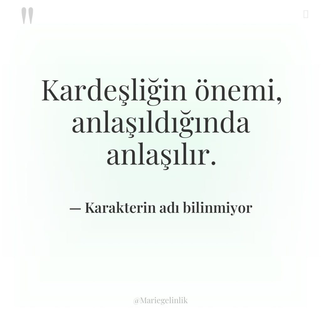 Kardeşliğin önemi, anlaşıldığında anlaşılır.