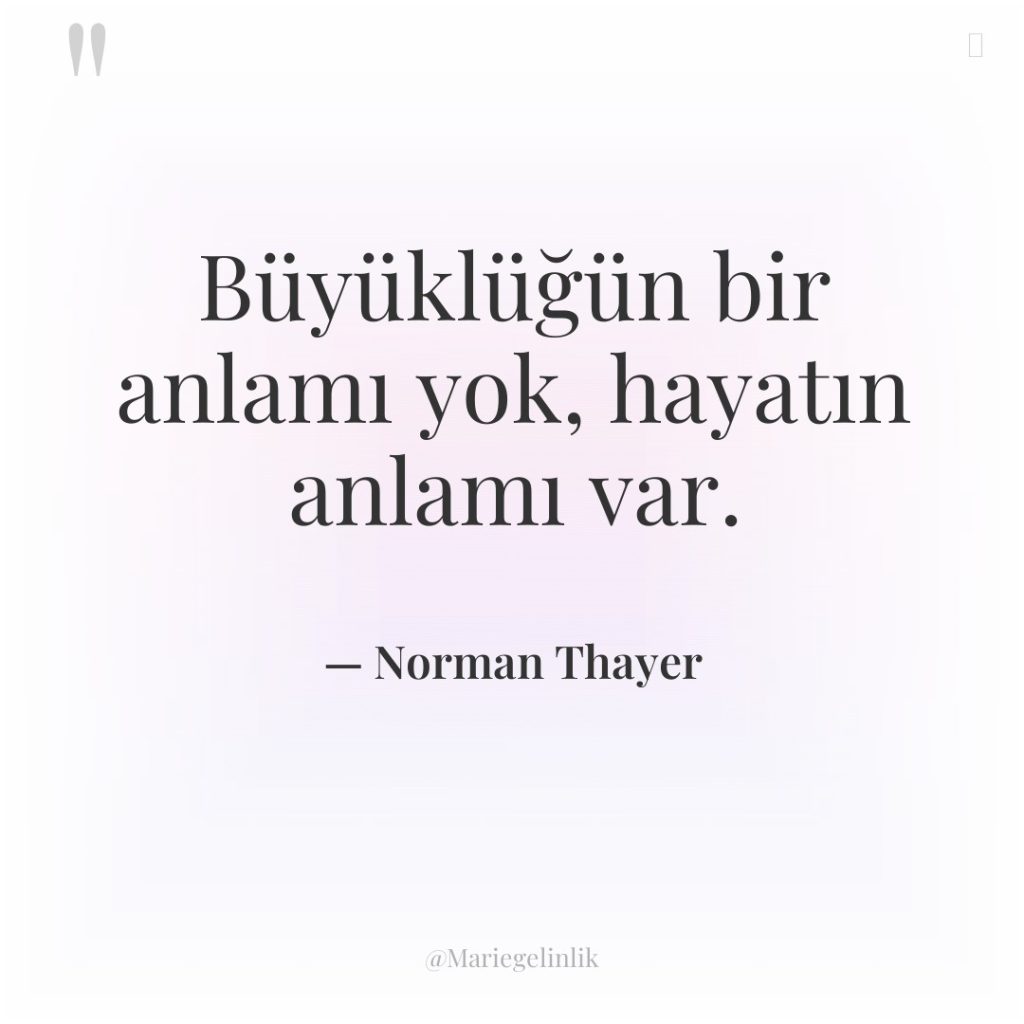 Büyüklüğün bir anlamı yok, hayatın anlamı var.