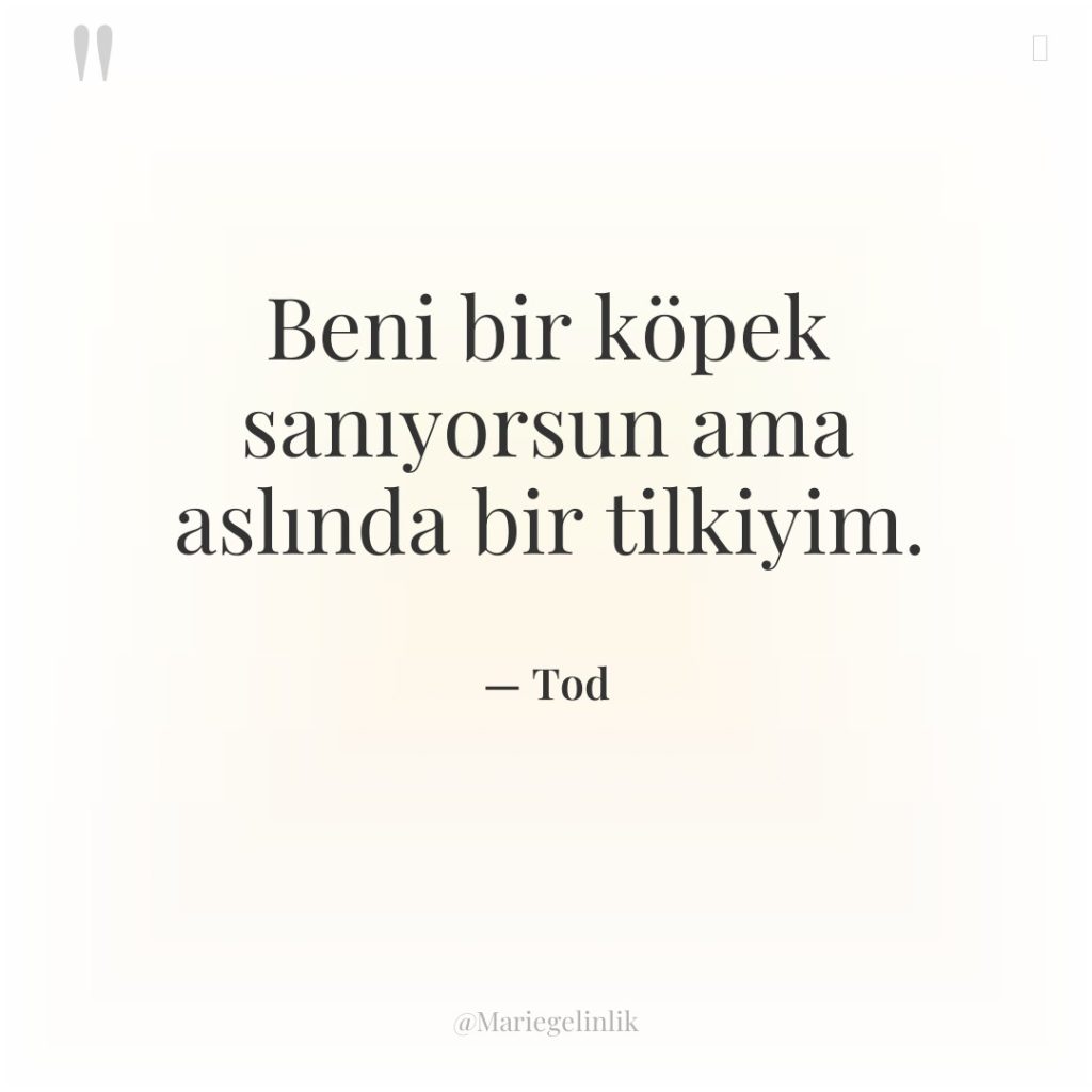 Beni bir köpek sanıyorsun ama aslında bir tilkiyim.