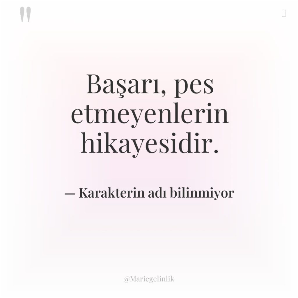 Başarı, pes etmeyenlerin hikayesidir.