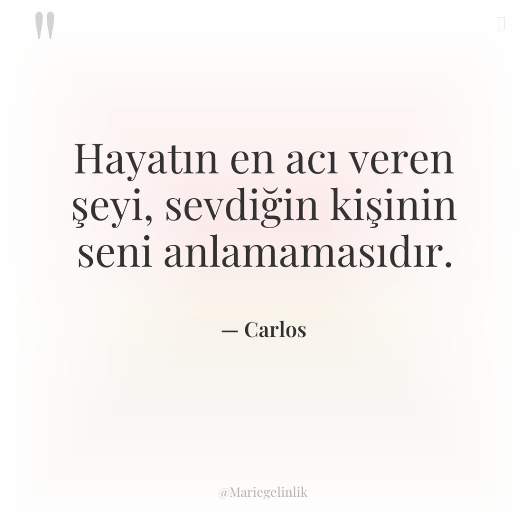 Hayatın en acı veren şeyi, sevdiğin kişinin seni anlamamasıdır.