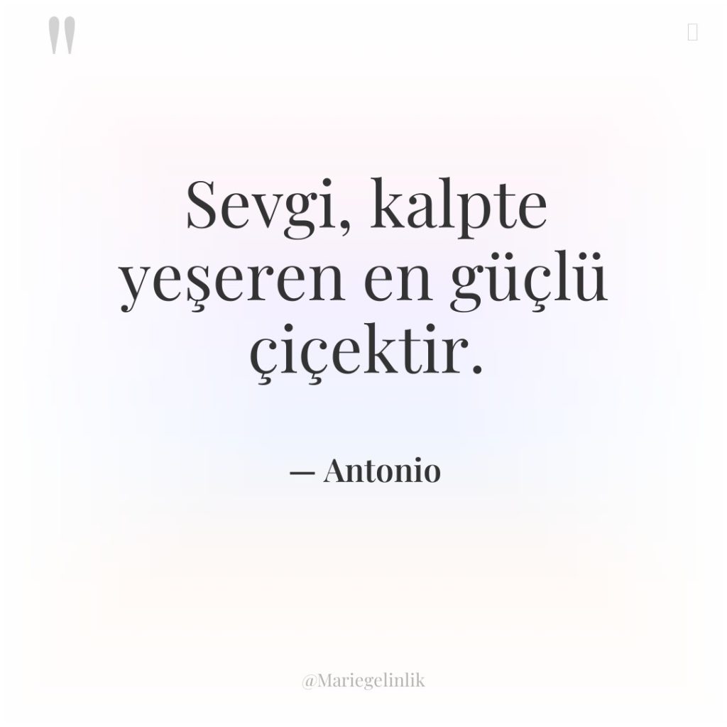 Sevgi, kalpte yeşeren en güçlü çiçektir.