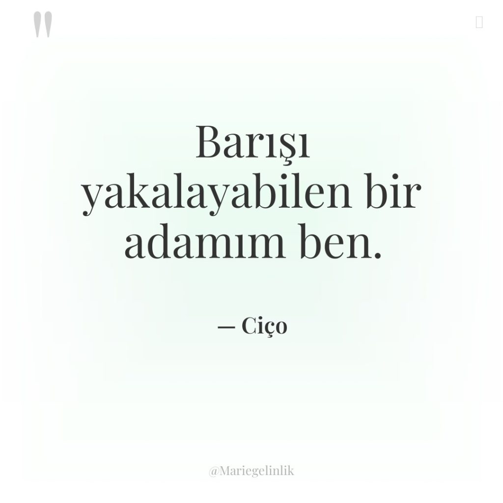 Barışı yakalayabilen bir adamım ben.