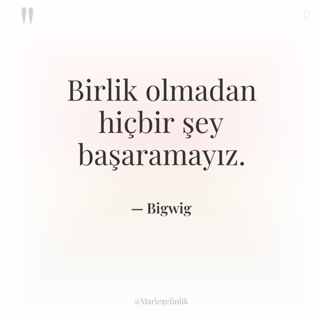 Birlik olmadan hiçbir şey başaramayız.