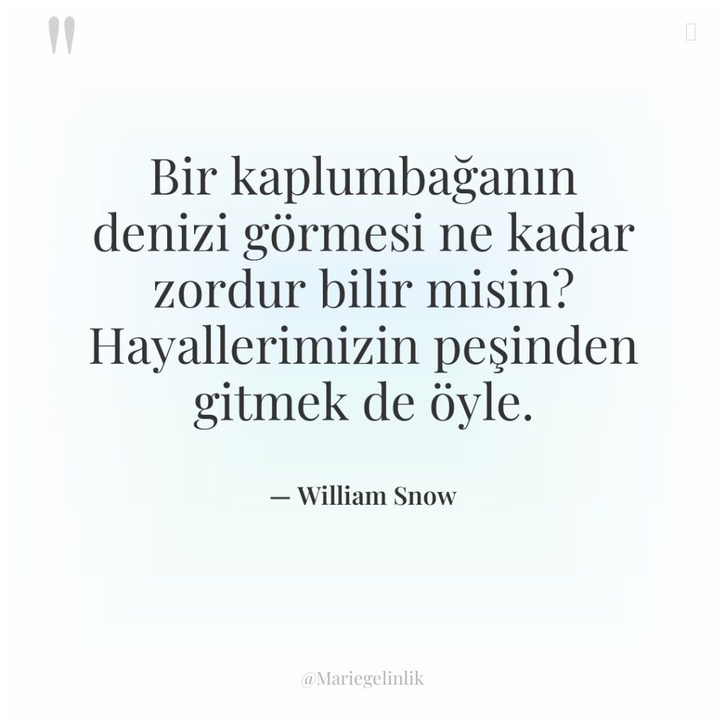 Bir kaplumbağanın denizi görmesi ne kadar zordur bilir misin? Hayallerimizin…