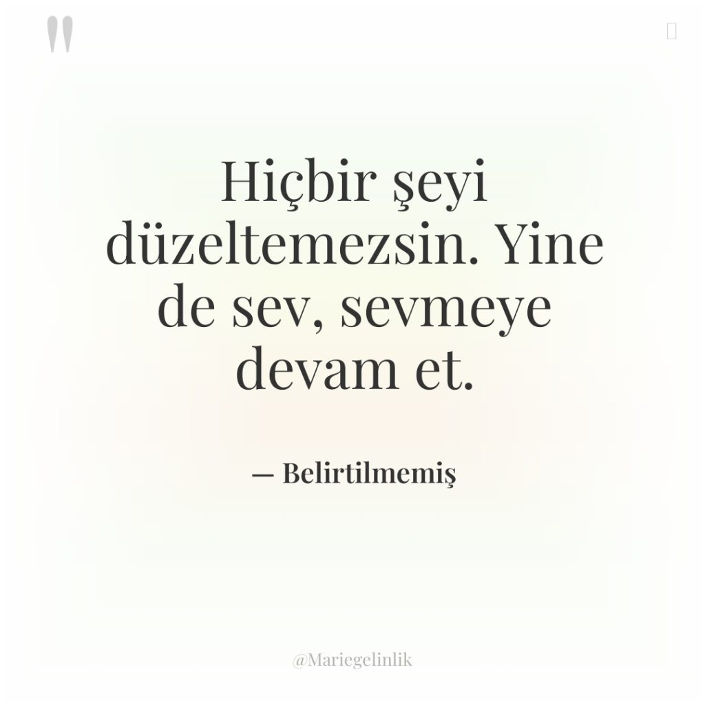 Hiçbir şeyi düzeltemezsin. Yine de sev, sevmeye devam et.