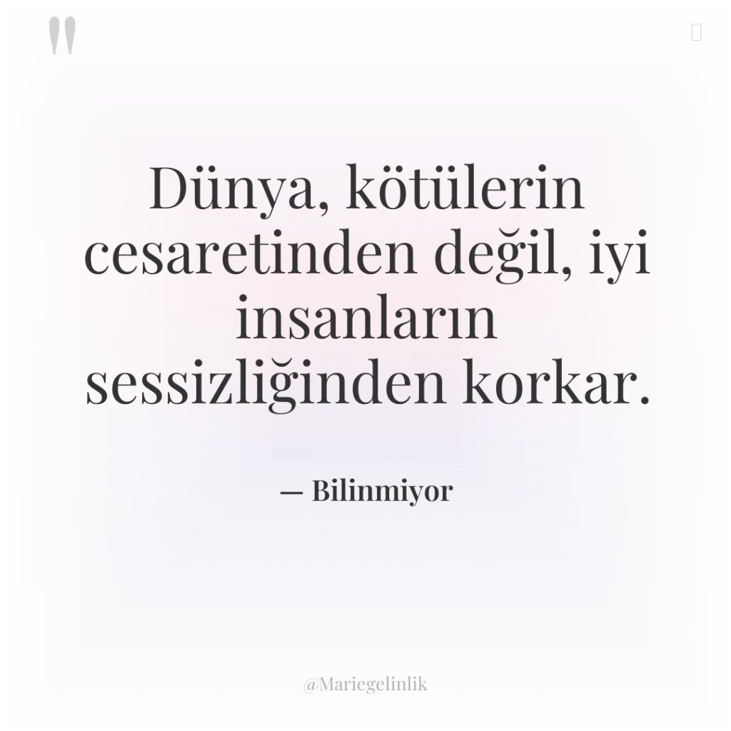 Dünya, kötülerin cesaretinden değil, iyi insanların sessizliğinden korkar.