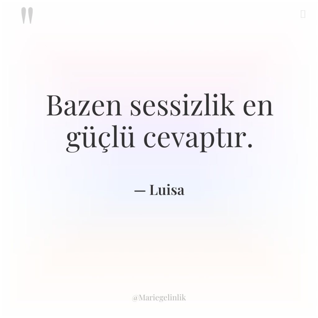 Bazen sessizlik en güçlü cevaptır.