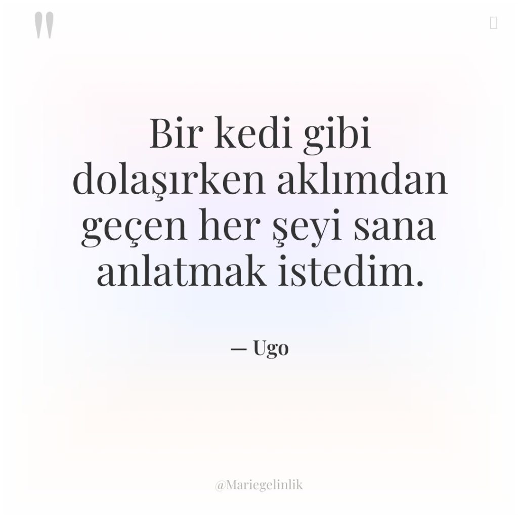 Bir kedi gibi dolaşırken aklımdan geçen her şeyi sana anlatmak…