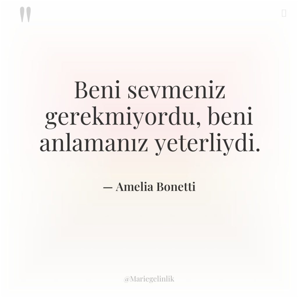 Beni sevmeniz gerekmiyordu, beni anlamanız yeterliydi.