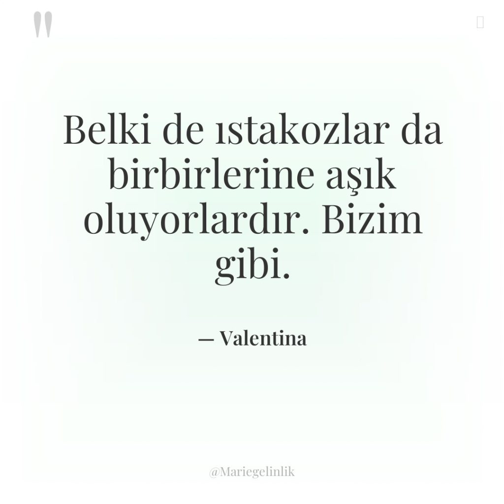 Belki de ıstakozlar da birbirlerine aşık oluyorlardır. Bizim gibi.