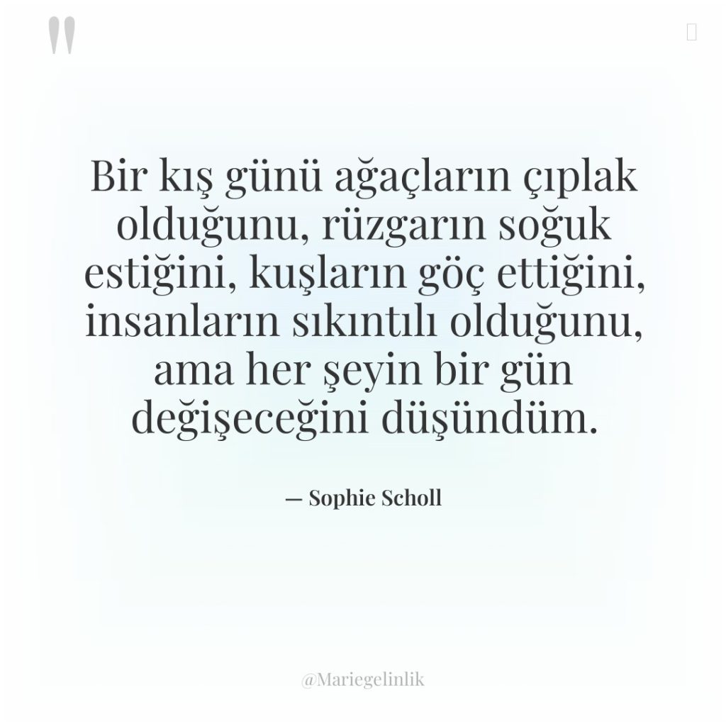 Bir kış günü ağaçların çıplak olduğunu, rüzgarın soğuk estiğini, kuşların…