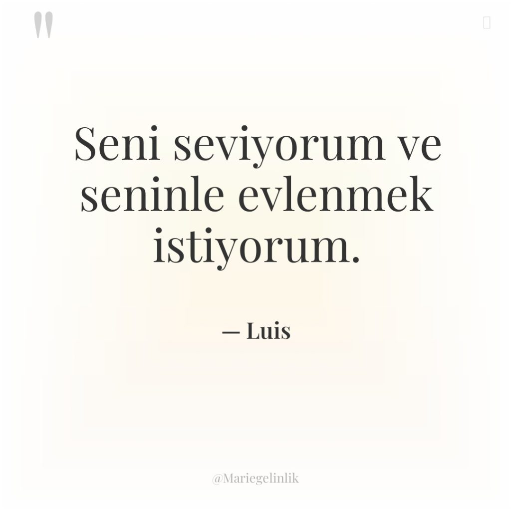 Seni seviyorum ve seninle evlenmek istiyorum.