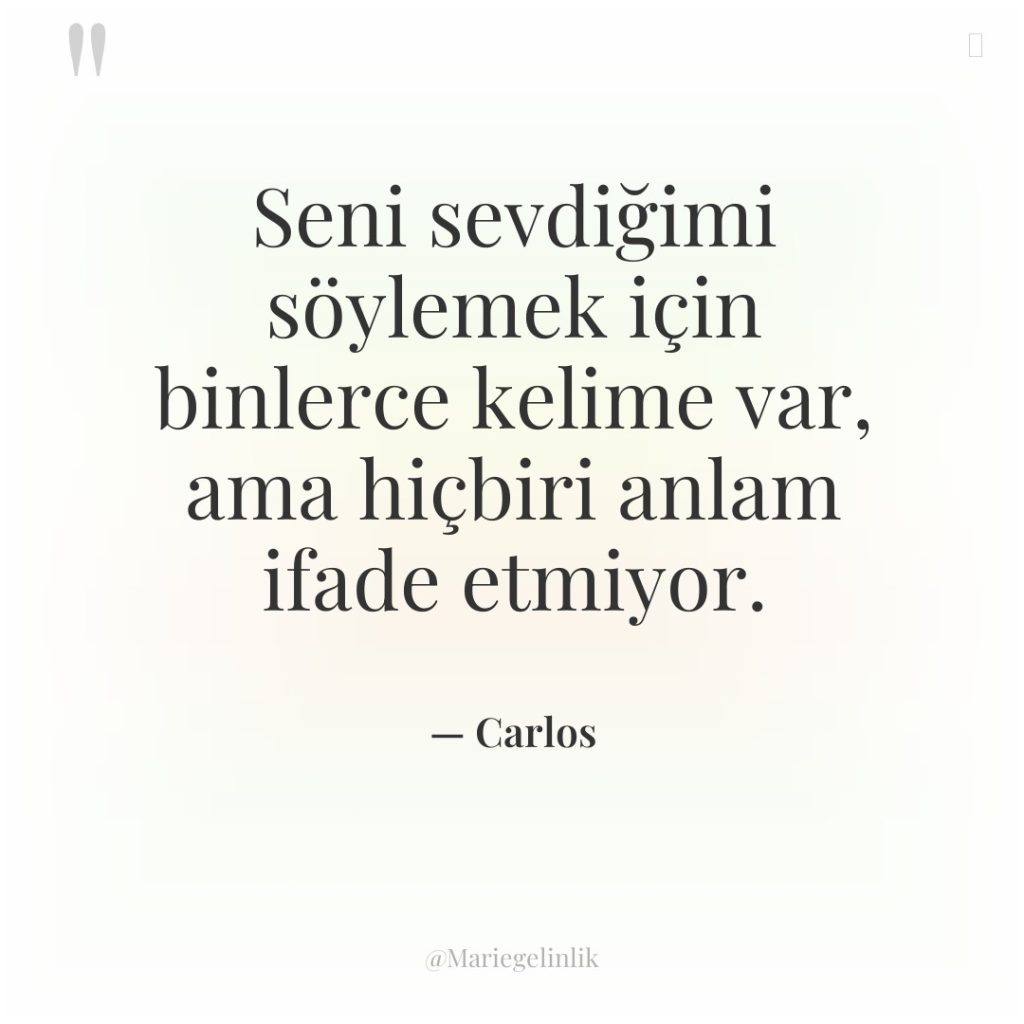 Seni sevdiğimi söylemek için binlerce kelime var, ama hiçbiri anlam…