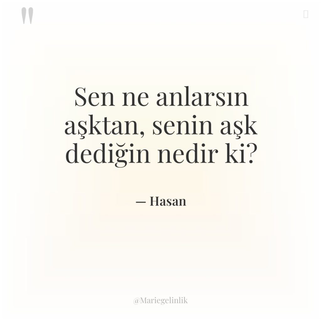 Sen ne anlarsın aşktan, senin aşk dediğin nedir ki?