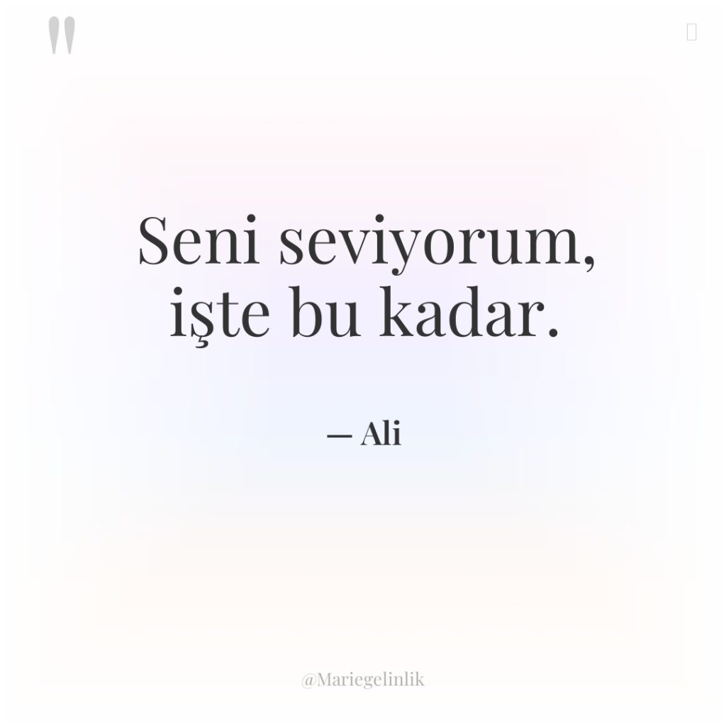 Seni seviyorum, işte bu kadar.