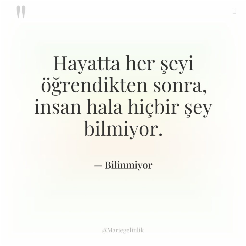 Hayatta her şeyi öğrendikten sonra, insan hala hiçbir şey bilmiyor.