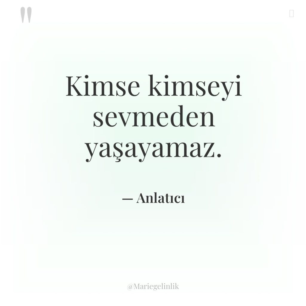 Kimse kimseyi sevmeden yaşayamaz.