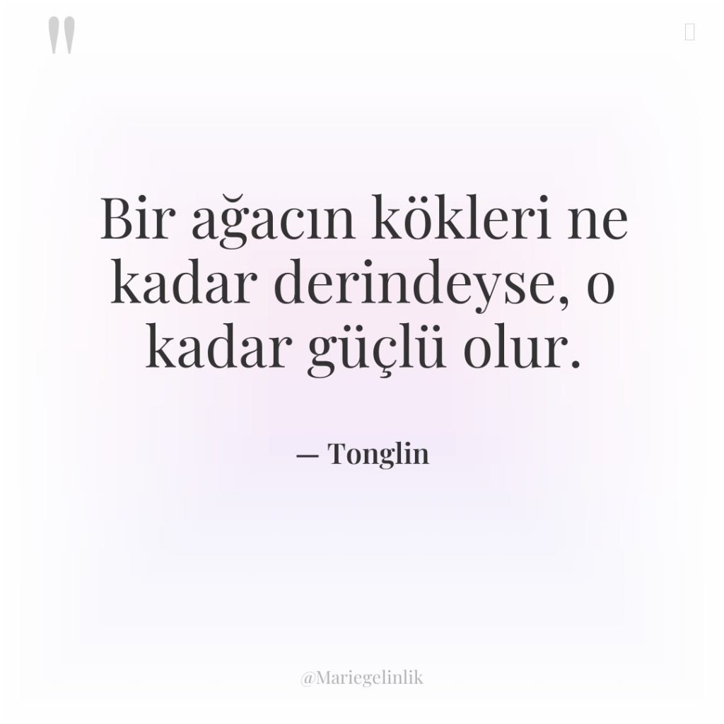 Bir ağacın kökleri ne kadar derindeyse, o kadar güçlü olur.