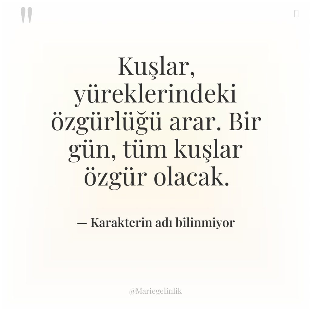 Kuşlar, yüreklerindeki özgürlüğü arar. Bir gün, tüm kuşlar özgür olacak.