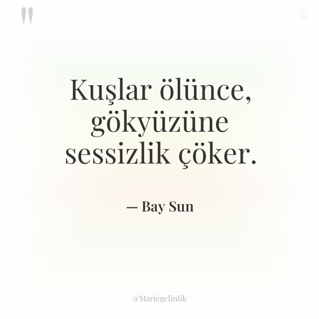 Kuşlar ölünce, gökyüzüne sessizlik çöker.