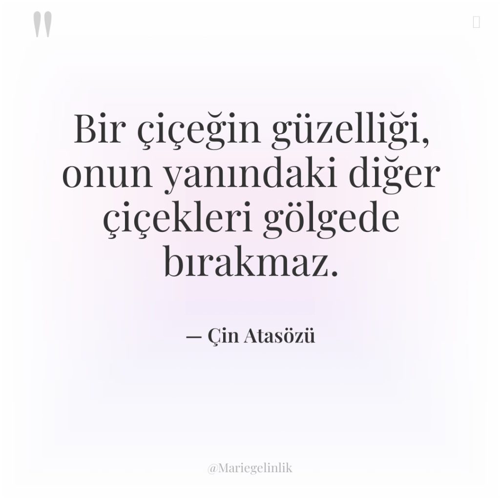 Bir çiçeğin güzelliği, onun yanındaki diğer çiçekleri gölgede bırakmaz.