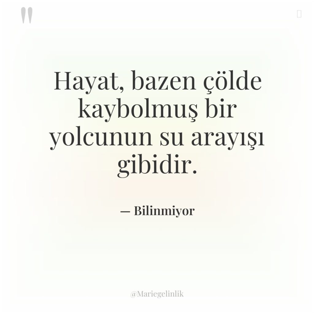 Hayat, bazen çölde kaybolmuş bir yolcunun su arayışı gibidir.