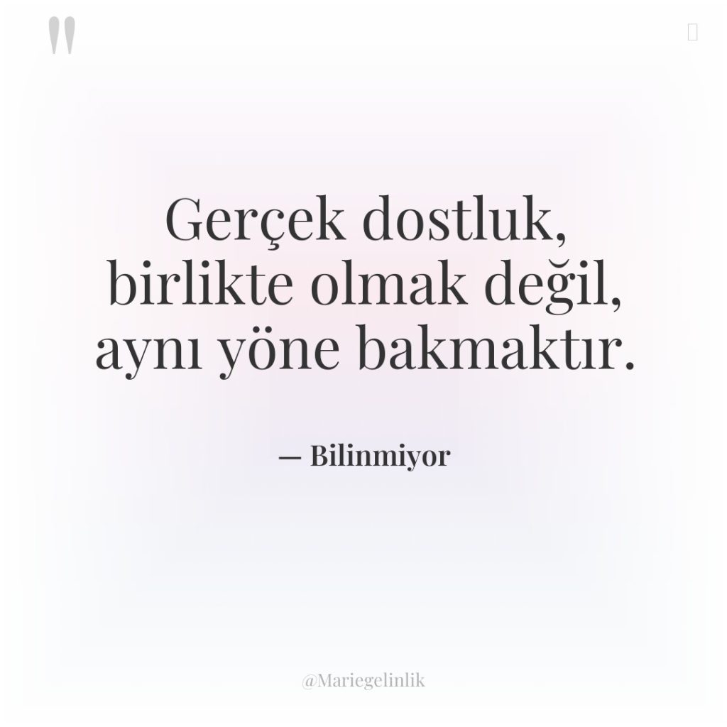 Gerçek dostluk, birlikte olmak değil, aynı yöne bakmaktır.