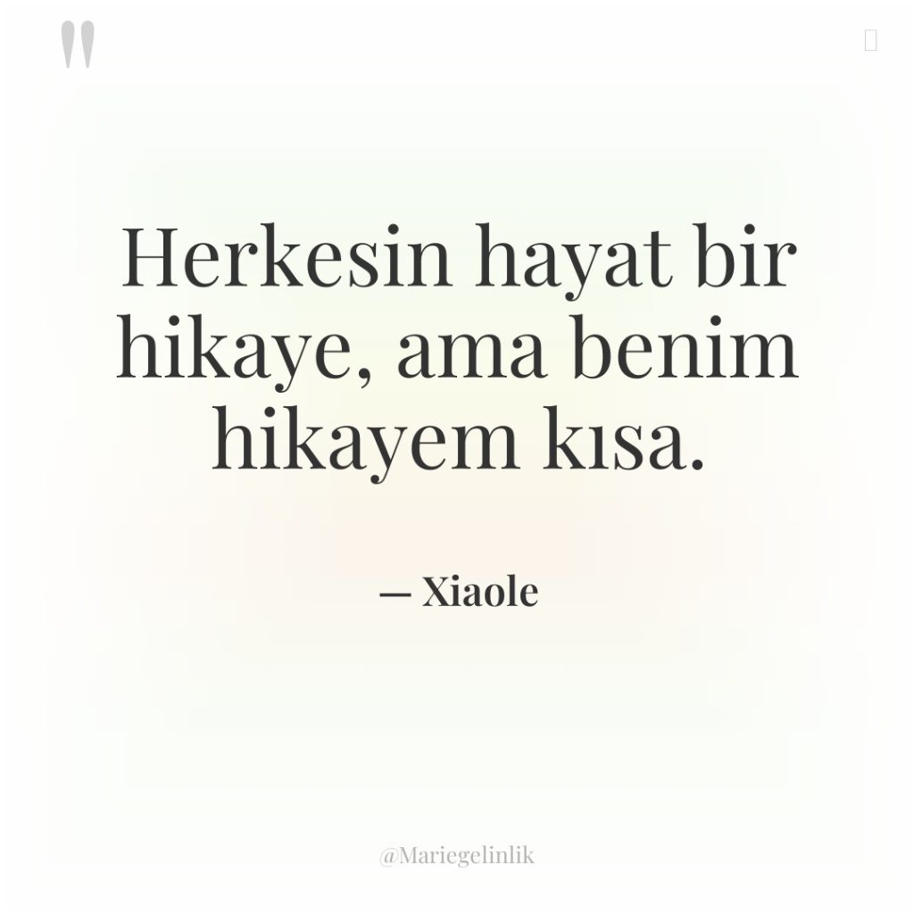 Herkesin hayat bir hikaye, ama benim hikayem kısa.