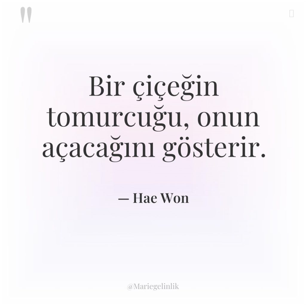 Bir çiçeğin tomurcuğu, onun açacağını gösterir.