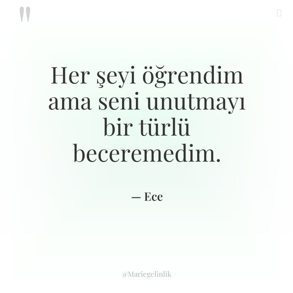 Her şeyi öğrendim ama seni unutmayı bir türlü beceremedim.